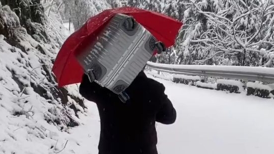 杭州爸爸打包一车雪回家送女儿，这份冰封的父爱，暖了整个冬天！