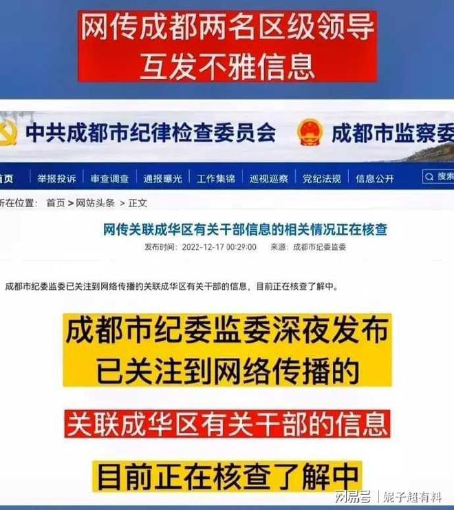 深夜共处引争议 纪检介入查真相—某干部被举报事件引发关注